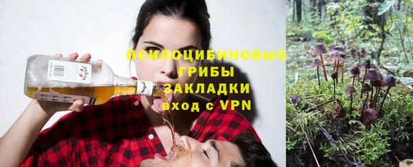 скорость Костерёво