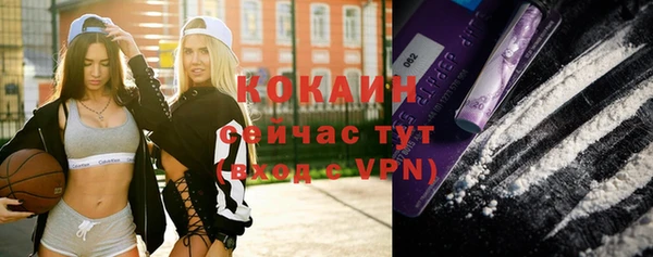 дживик Корсаков