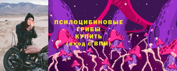 дживик Корсаков