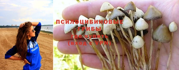 дживик Корсаков