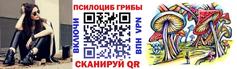 Купить где  Балашов  Галлюциногенные грибы ЛСД 